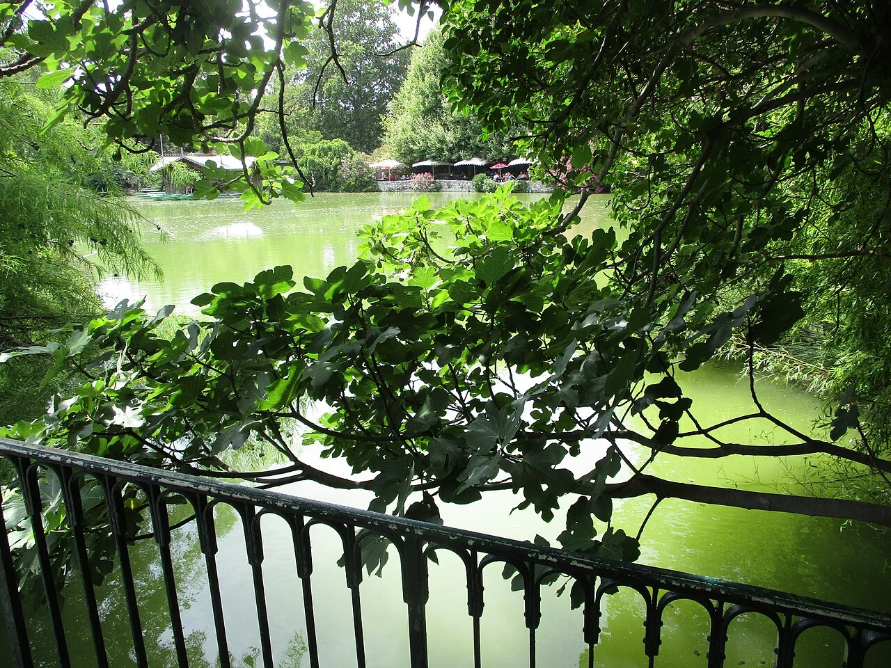 Le lac du parc Borély, photographie du 18 juillet 2019.